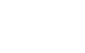 MMP Consulting